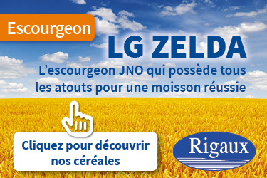 RIGAUX EscouFR